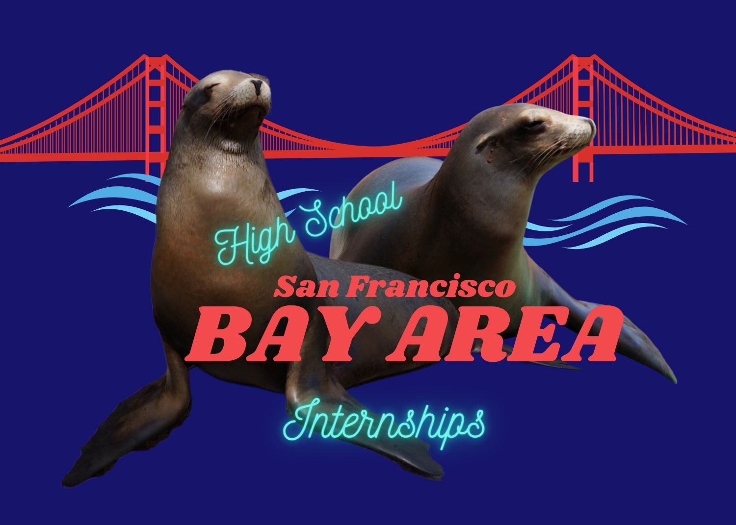 35+ High School Internships in the Bay Area
